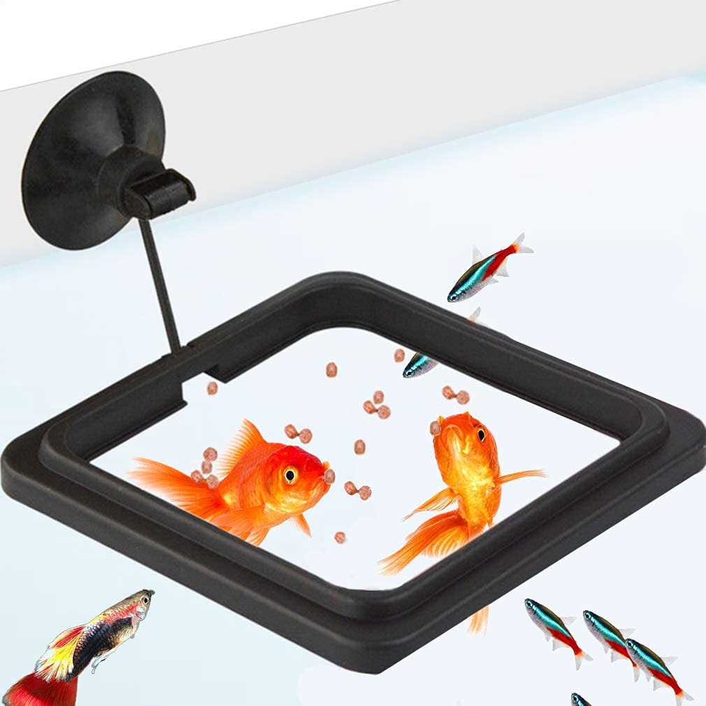 Betta & Goldfish Food Pellets & Flakes L99629