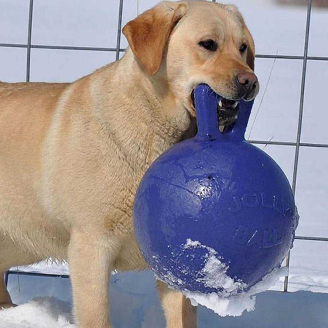 Tug N Toss Ball L62189