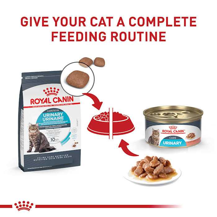 Thin Slices in Gravy Wet Cat Food H235