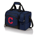 Picnic Basket Cooler E397008