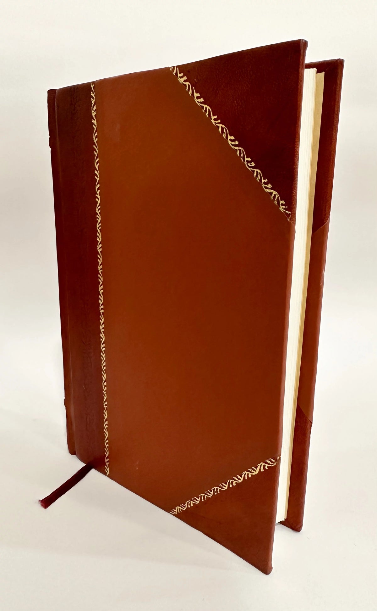 Book of Samples Leather Bound X66651