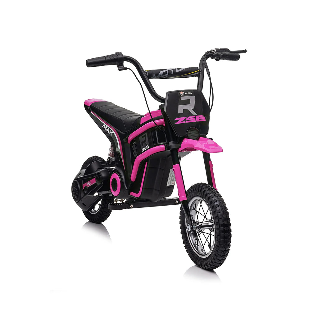 24V 350W Blue Electric Dirt Bike A820