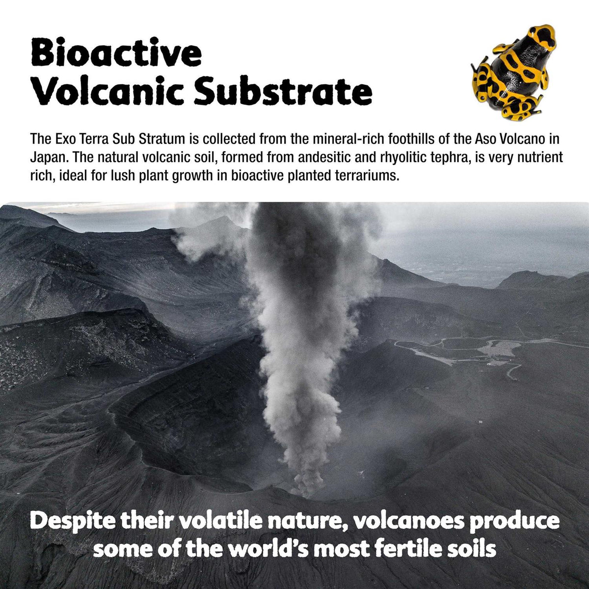 Volcanic Substrate N15737