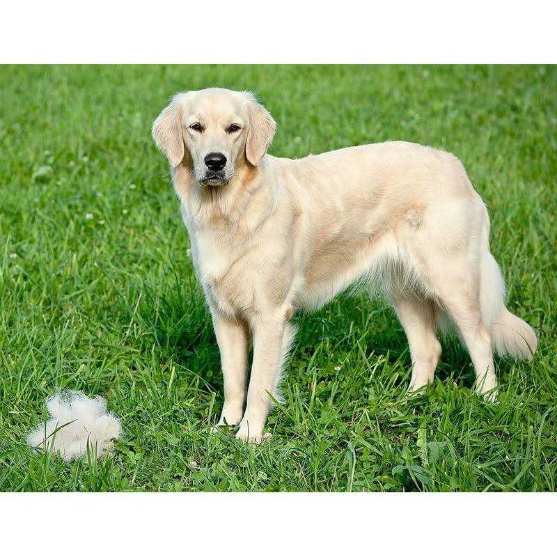 Dog Deshedding Dematting Brush Comb R53188