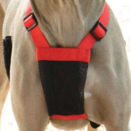 Mesh Non Pull Dog Harness D98720