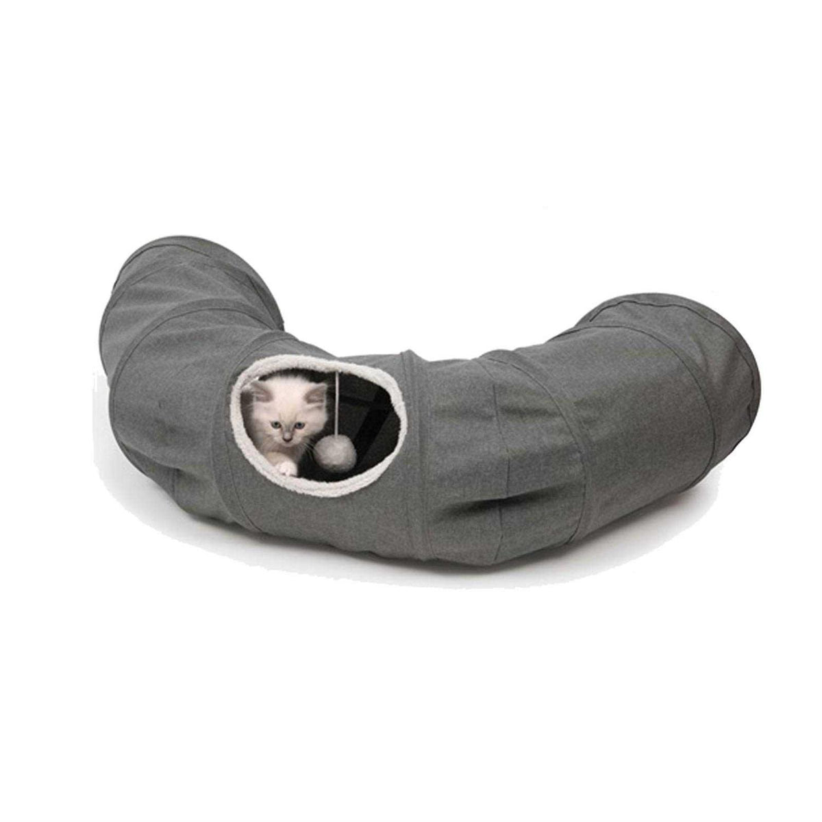 Cat Tunnel V509899