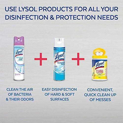 Fresh Air Sanitizing Spray, 10 oz X979523