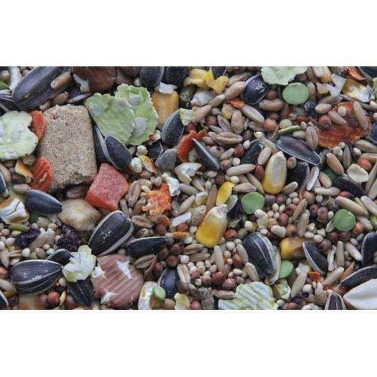 Gourmet Blend Rat & Mouse Food J810013