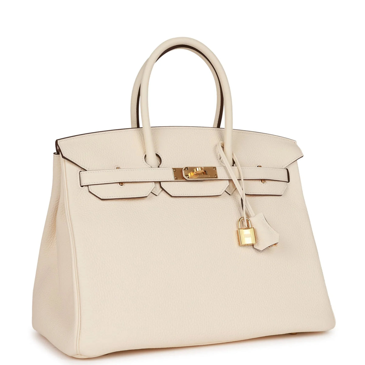 Birkin 35 Nata Togo Gold Hardware B485