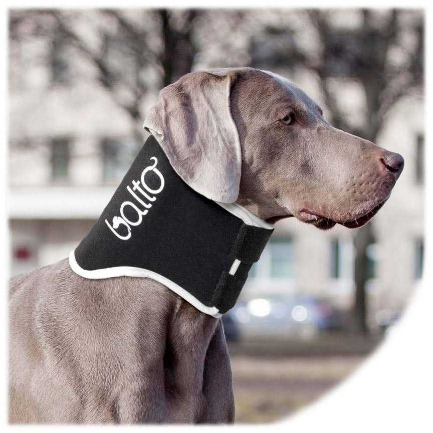Dog Cone Alternative E-Collar N8074