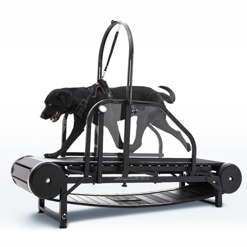 Non-Electric Dog Treadmill with Step Counter, Adjustable Incline & Brake G8510