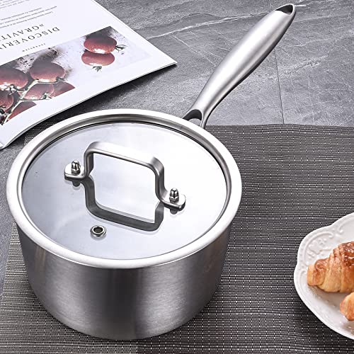 Tri-Ply Stainless Steel 3 QT Saucepan with Steamer Set W585426