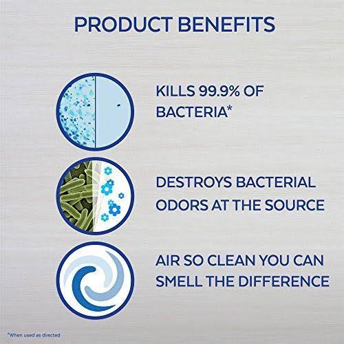 Fresh Air Sanitizing Spray, 10 oz X979523