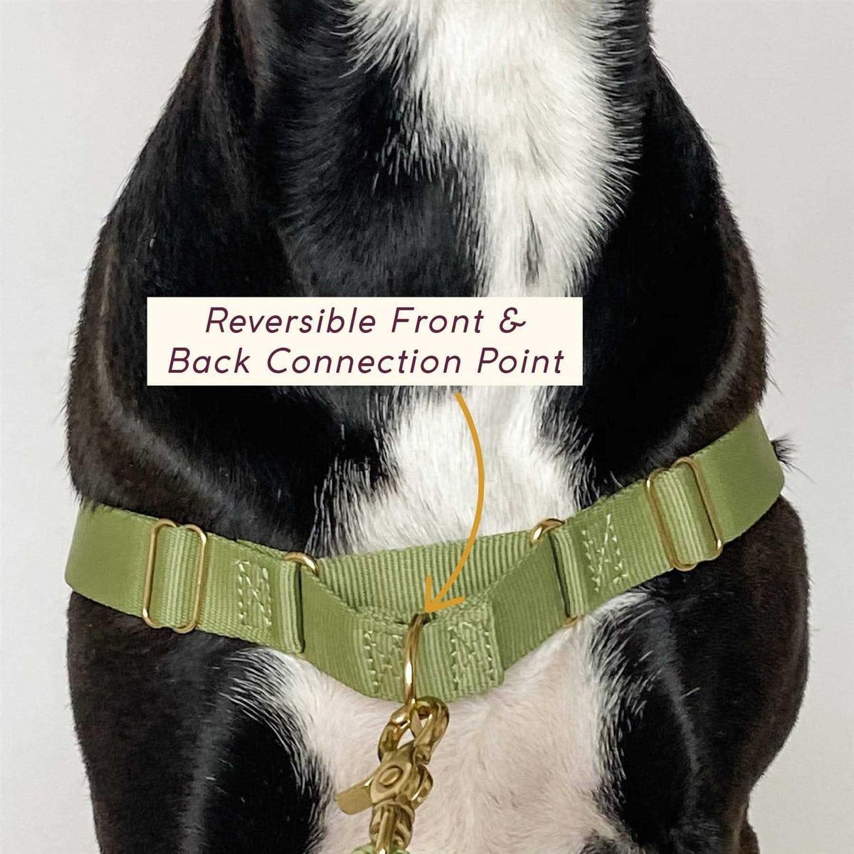 Pet Harness I697