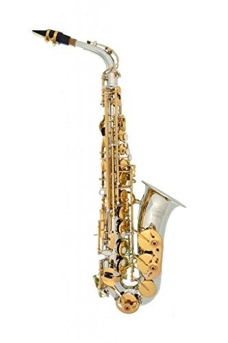 Silver Alto Saxophone with 11 Reeds and Case P179
