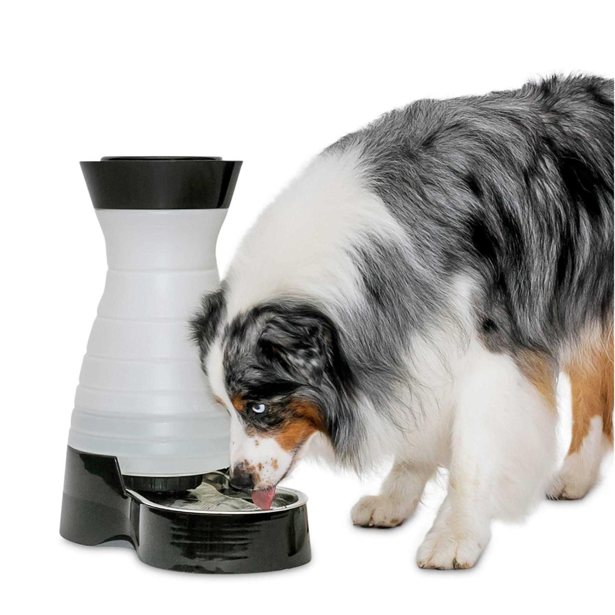 Healthy Pet Water Station I598265