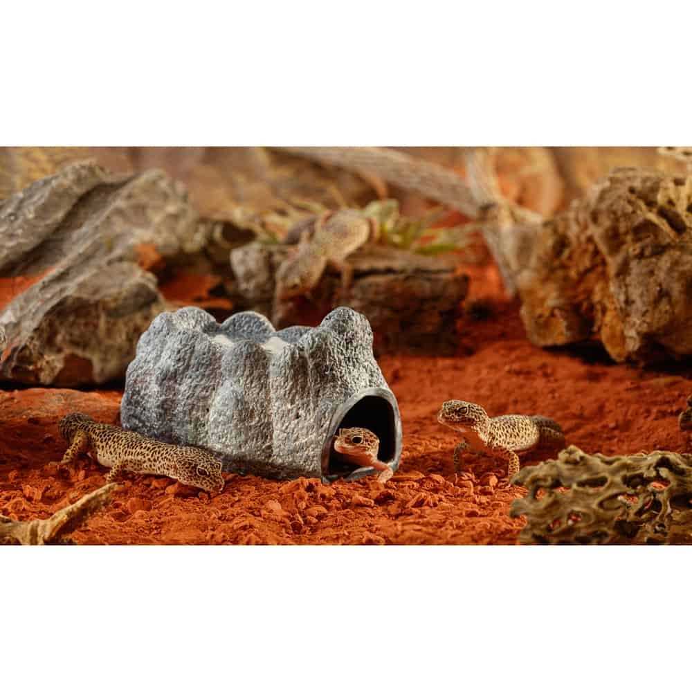Wet Rock Cave R568