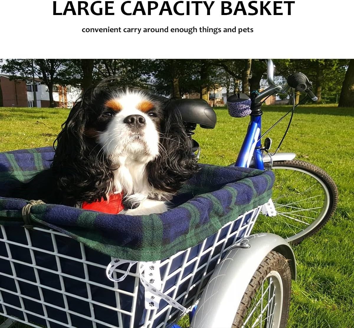 26 Inch 3-Wheel Cruiser Bicycle with Large Shopping Basket Y809654