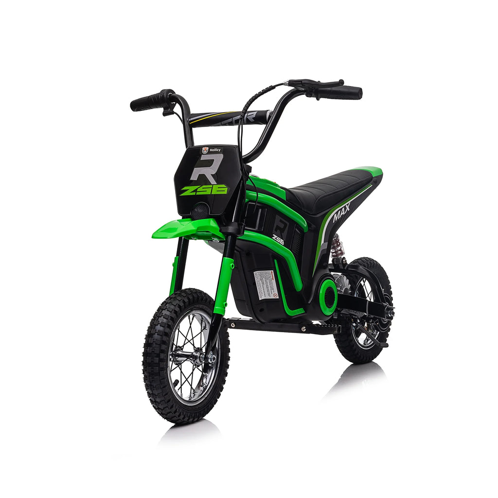 24V 350W Blue Electric Dirt Bike A820