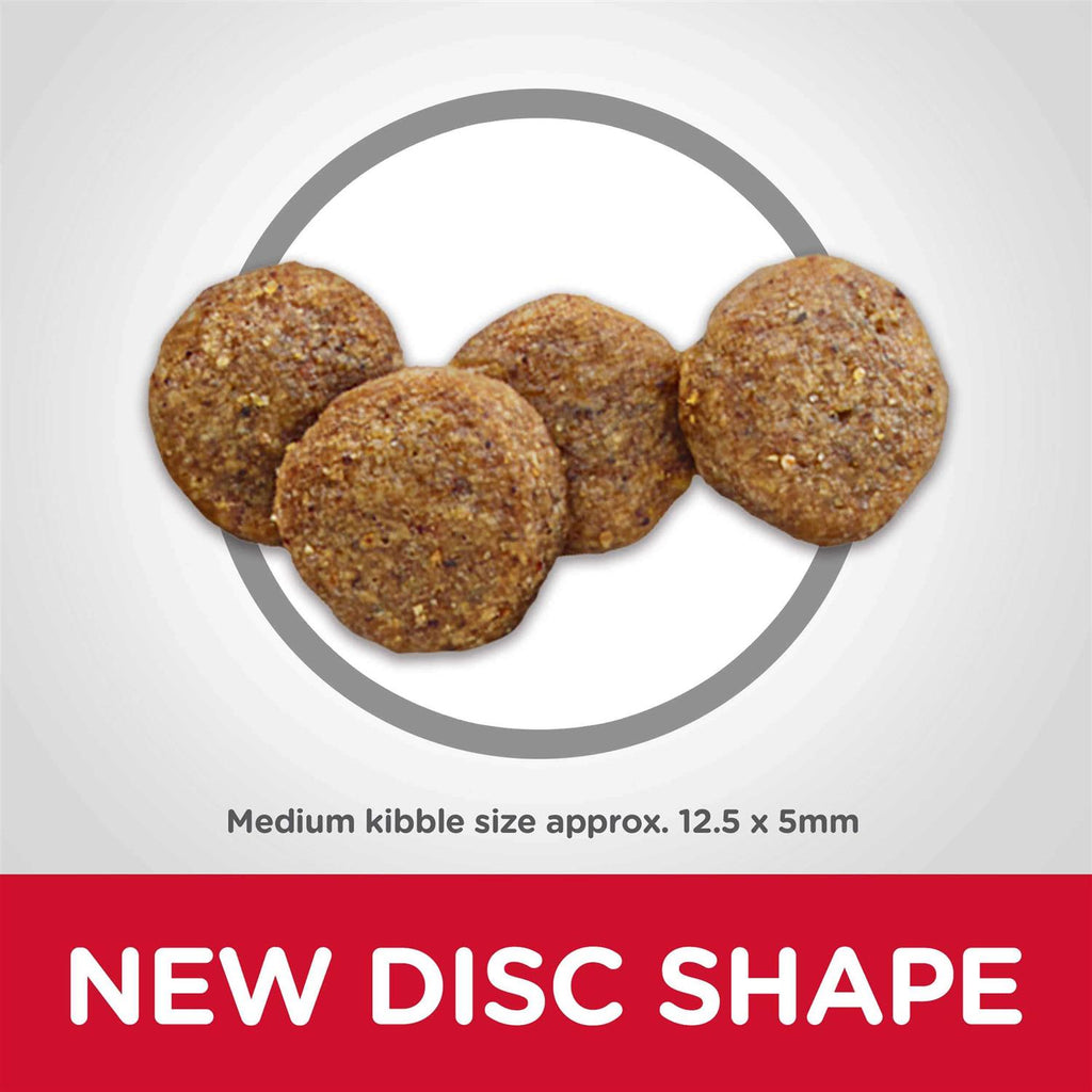 Chicken Adult 7+ Dog Food P36401