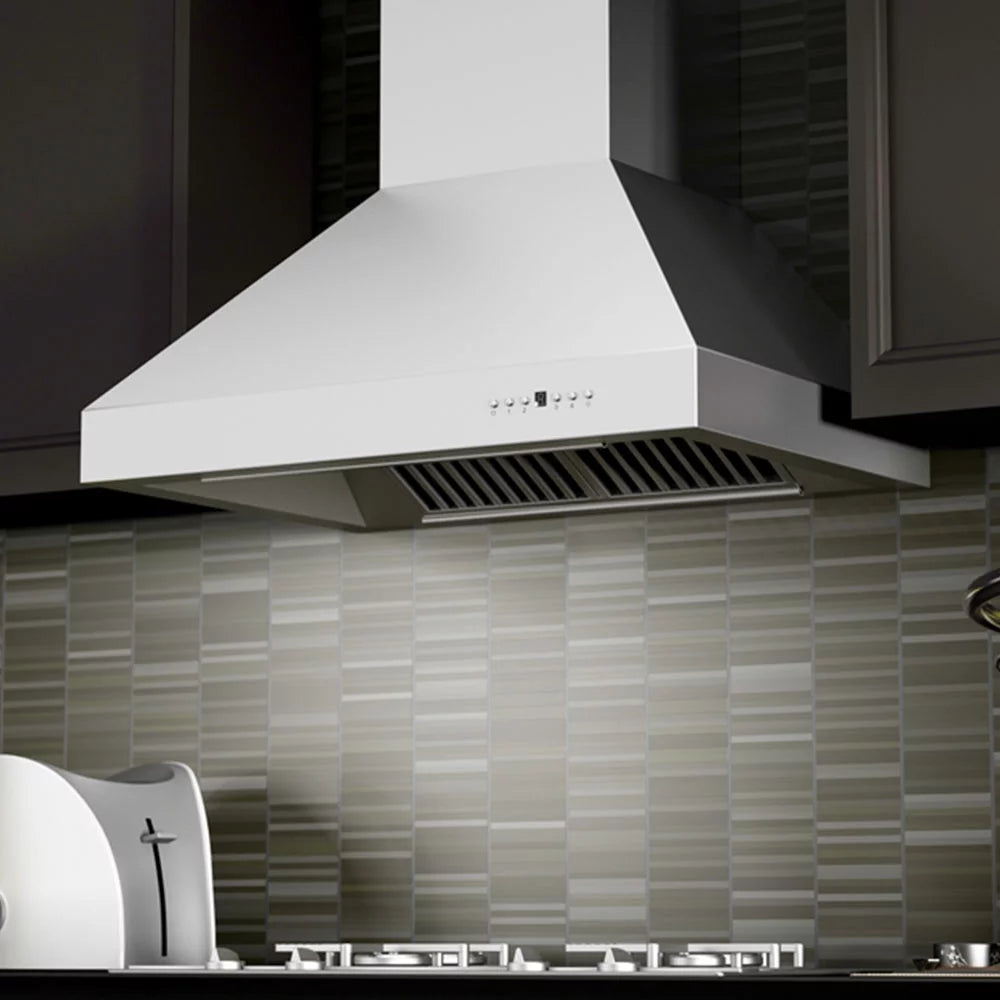 30 in. 900 CFM Stainless Steel Wall Mount Range Hood F42437