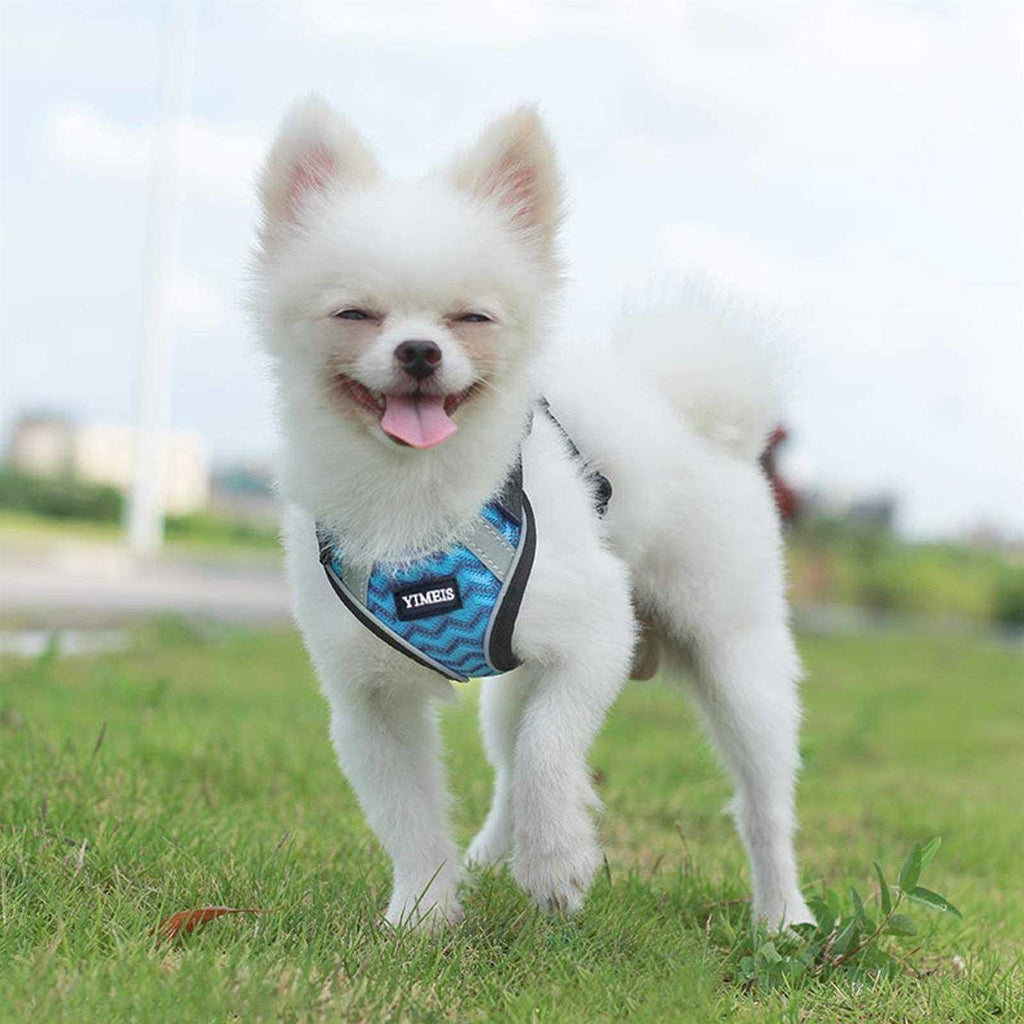 Dog Harness and Leash Set No Pull Soft Mesh U14377