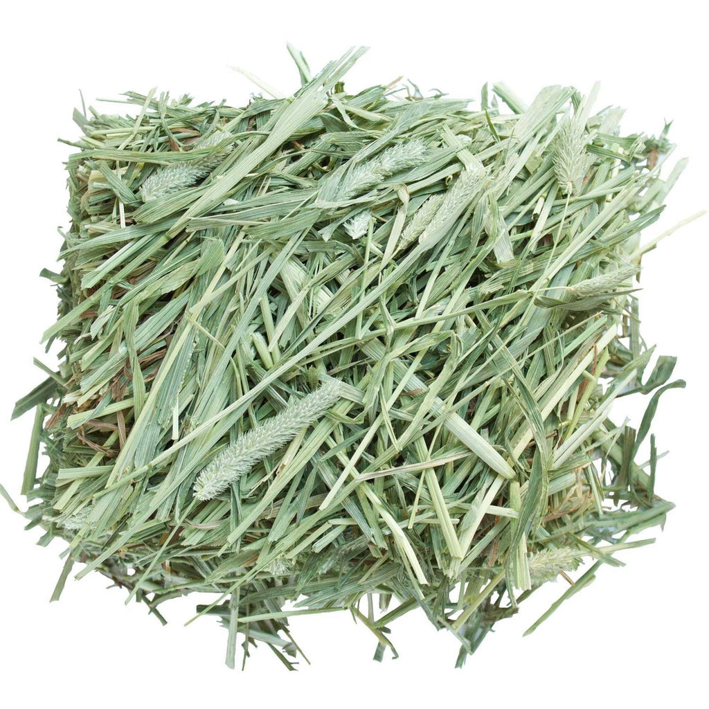 All-Natural Western Timothy Hay Chinchilla Food M18756