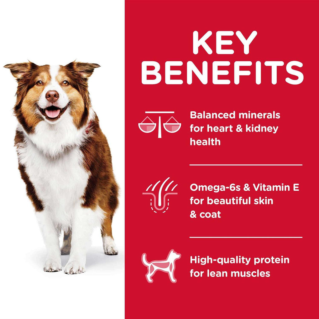 Chicken Adult 7+ Dog Food P36401