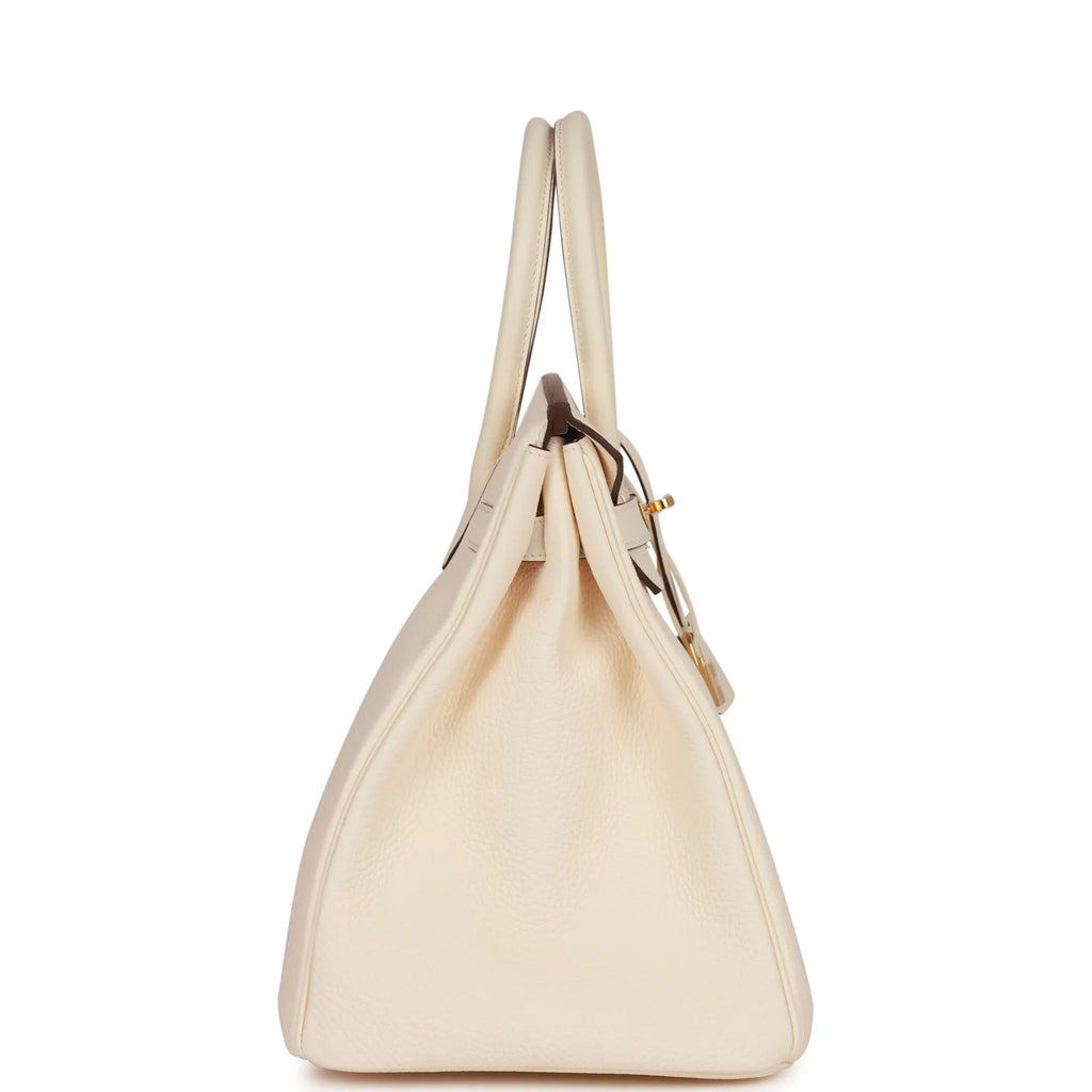 Birkin 35 Nata Togo Gold Hardware B485