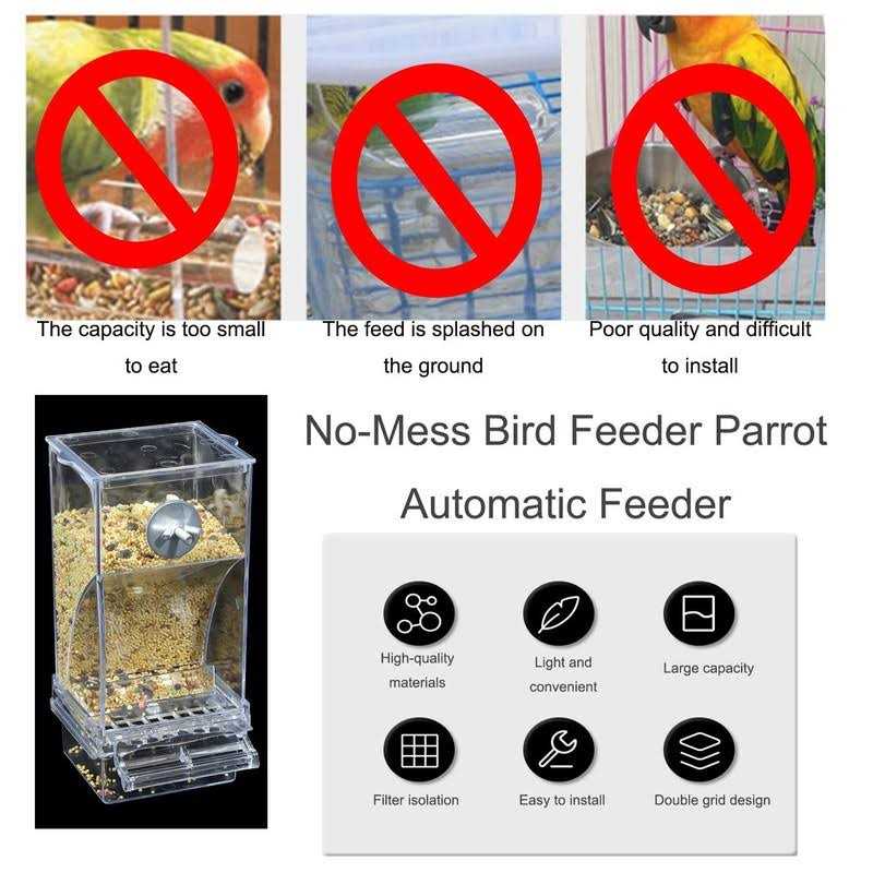 Automatic Bird Feeder I113