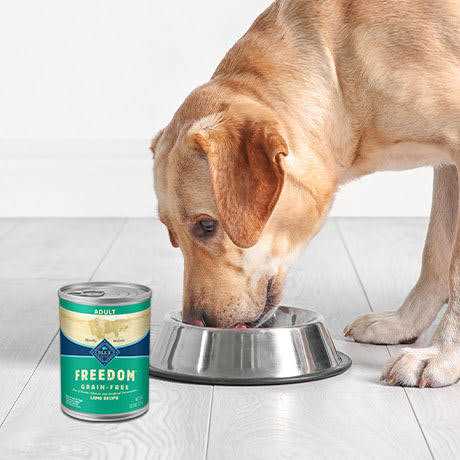 Grain Free Adult Dog Food B957882
