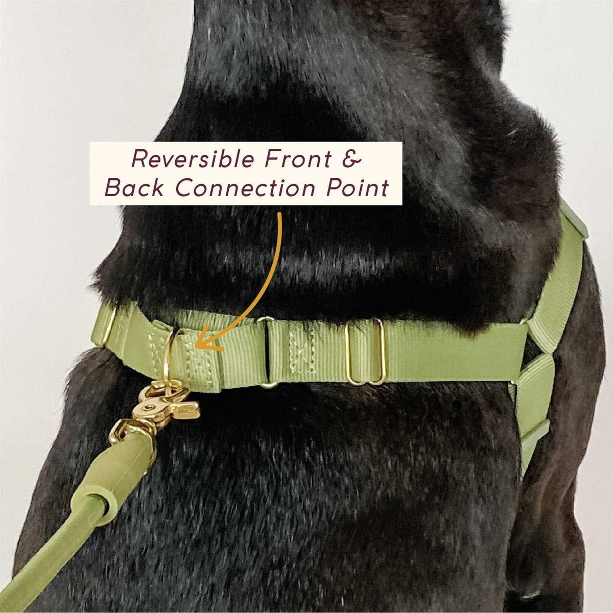 Pet Harness I697