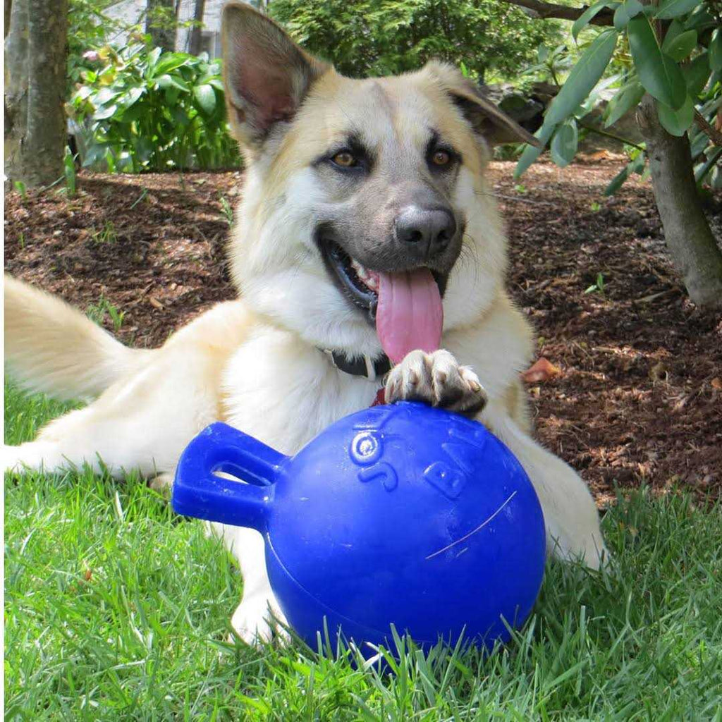 Tug N Toss Ball L62189