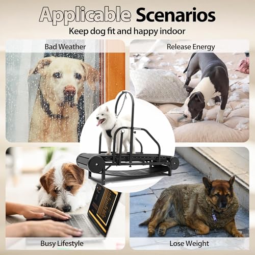 Non-Electric Dog Treadmill with Step Counter, Adjustable Incline & Brake G8510