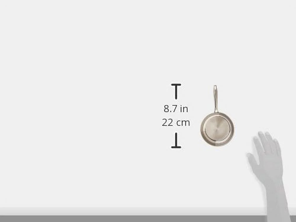 10" Stainless Skillet M932047