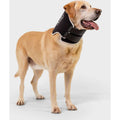 Dog Cone Alternative E-Collar N8074