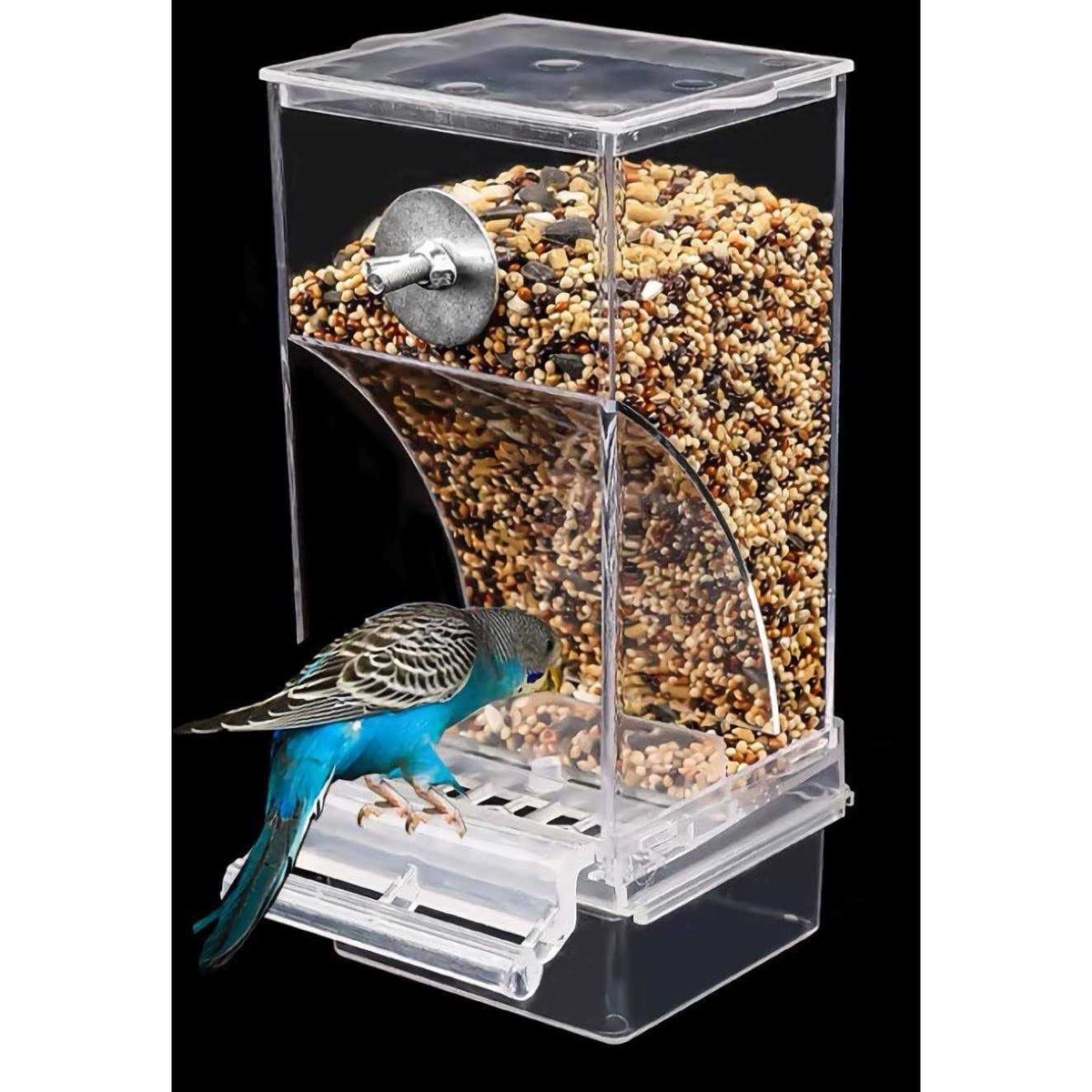 Automatic Bird Feeder I113