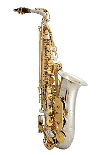Silver Alto Saxophone with 11 Reeds and Case P179
