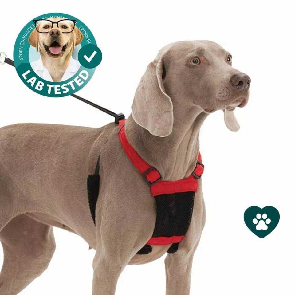 Mesh Non Pull Dog Harness D98720