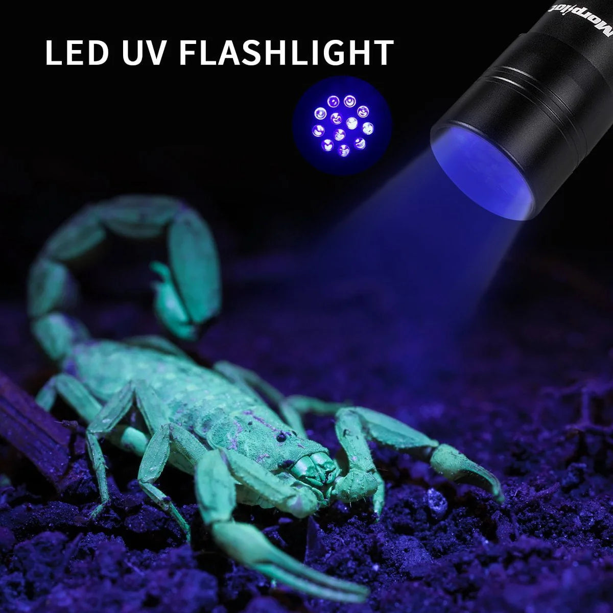 Multifunctional UV Flashlight 12Leds Ultraviolet Blacklight A1228