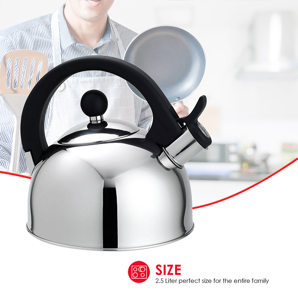 Stainless Steel Tea Kettle Y702228
