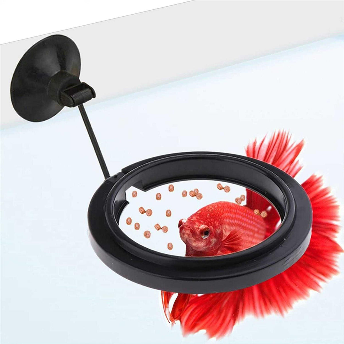 Betta & Goldfish Food Pellets & Flakes L99629