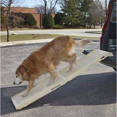 Folding Dog Ramp C338689