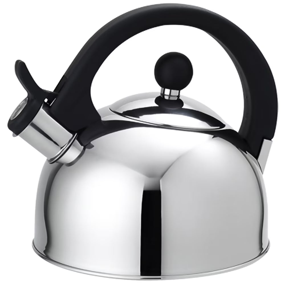Stainless Steel Tea Kettle Y702228