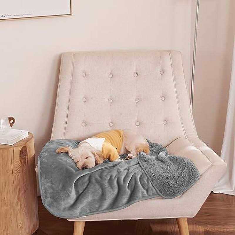 Waterproof Plush Reversible Sherpa Pet Blanket B870883