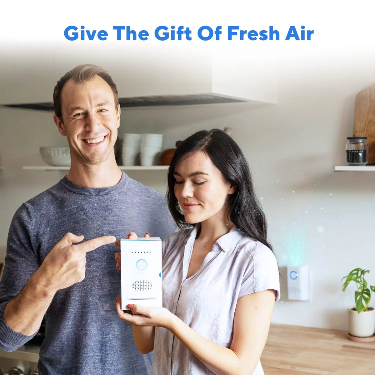 Air Purifier with UVC Light O649872