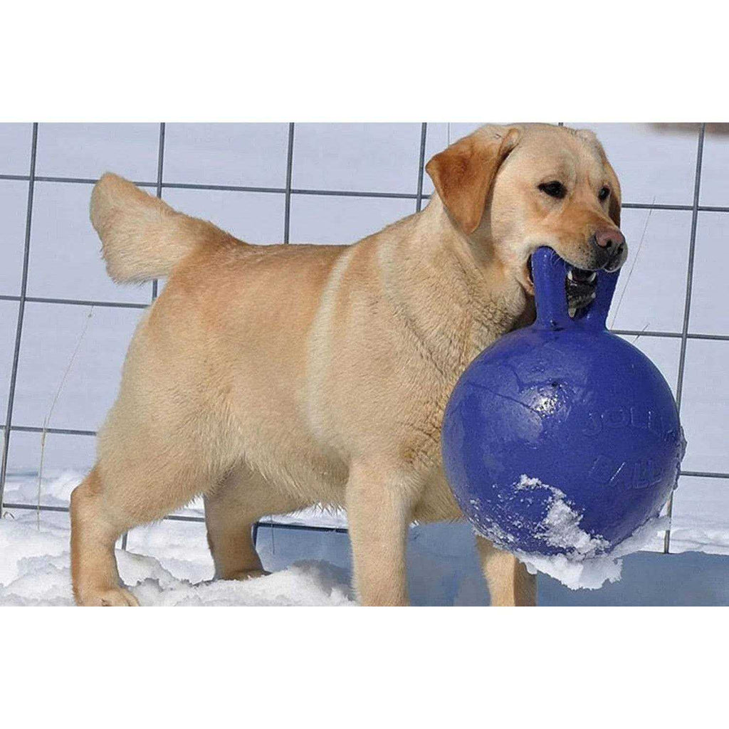 Tug N Toss Ball L62189