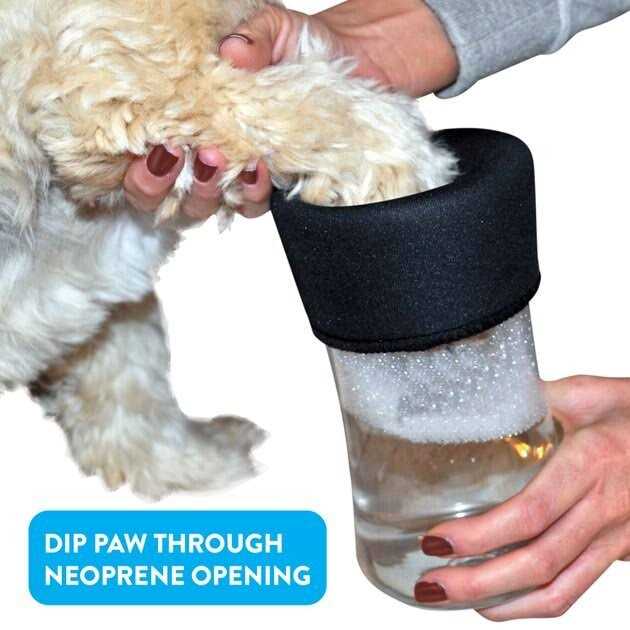 Dog Footbath M868147
