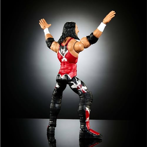 WWE Elite Collection Action Figure with Accessory B790130