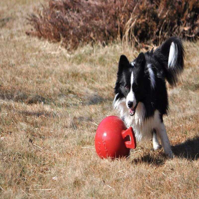 Tug N Toss Ball L62189